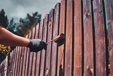Fence Painting